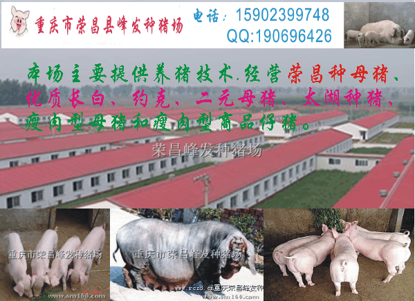 ����������Ӿ�ѡƵ��